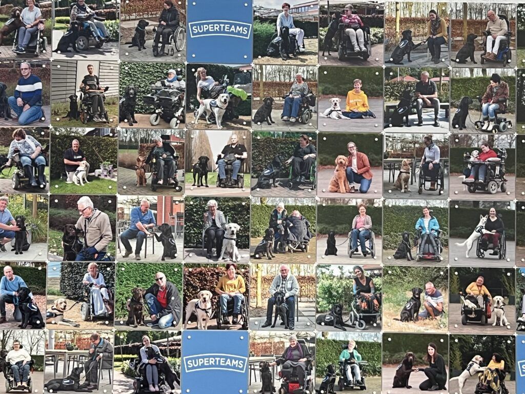 Fotocollage met tientallen duo’s van mensen in rolstoelen samen met hun assistentiehonden, buiten gefotografeerd in diverse omgevingen, met centraal meerdere bordjes waarop “SUPERTEAMS” staat.