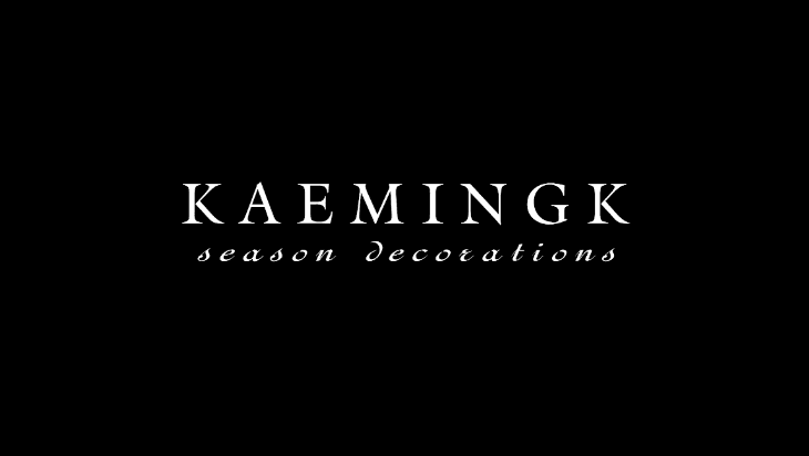 Logo Kaemingk