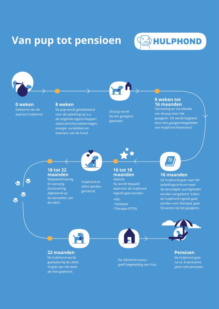 tijdlijn van pup tot pensioen